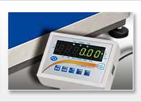 Overview of Animal Weighing Scale