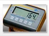 Calibrated pallet scale up to 1500 or 3000 kg