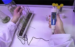 pH meter application in plant laboratory
