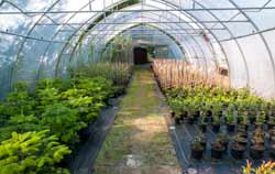 Relative Humidity Meter for monitoring in a plant tree nursery.