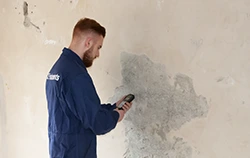 Wall moisture meter application.