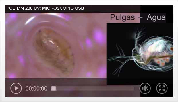 Video del microscopio de laboratorio