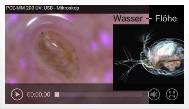 Video sul microscopio da laboratorio