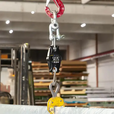 Hanging Scales Application picture
