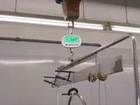Crane Scales Application picture