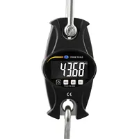 Hanging Scales Frontal