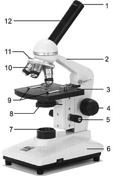 Parti essenziali dei microscopi.