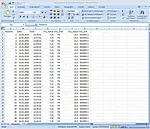 Dati esportati in Excel