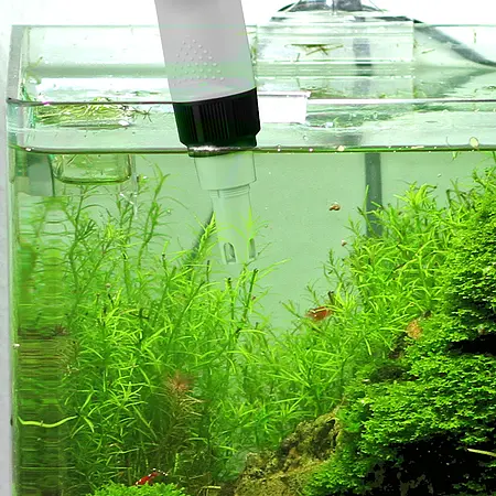 Analizador de agua - Imagen de uso en un acuario