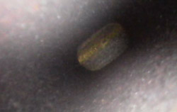 Endoskop przemysłowy – obraz kamery / Aplikacja