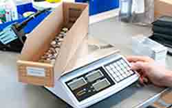 Una balança com contador durante um contagem.