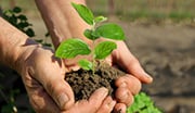 Medidor de pH para agricultura.