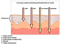 Controlador ambiental Esquema