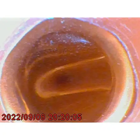 Endoskop / Endoskop Kamera PCE-VE 350HR3