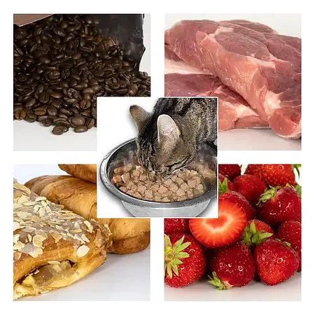 Nem Tayin Cihazı Uygulaması