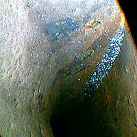 Endoskop Kamerası PCE-VE 1036HR-F Orjinal Görüntüsü