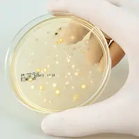 Hava Ölçüm Cihazı PCE-AS1