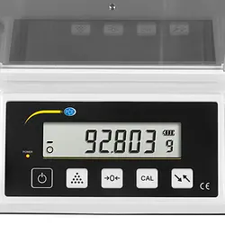 Checkweighing Scale display