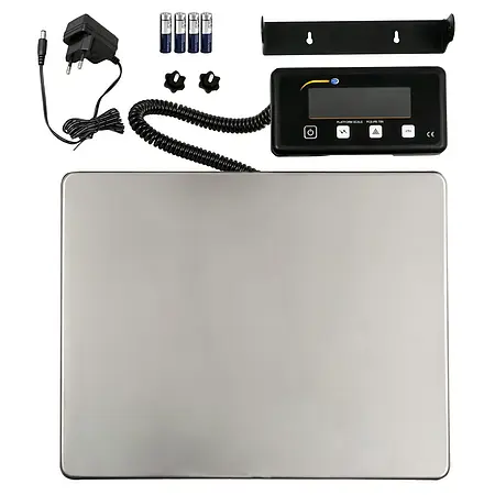 Checkweighing Scale delivery