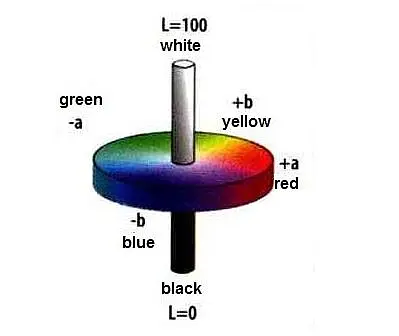 Spectrophotometer