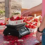 Tabletop Scale PCE-MS T3P-1-M application